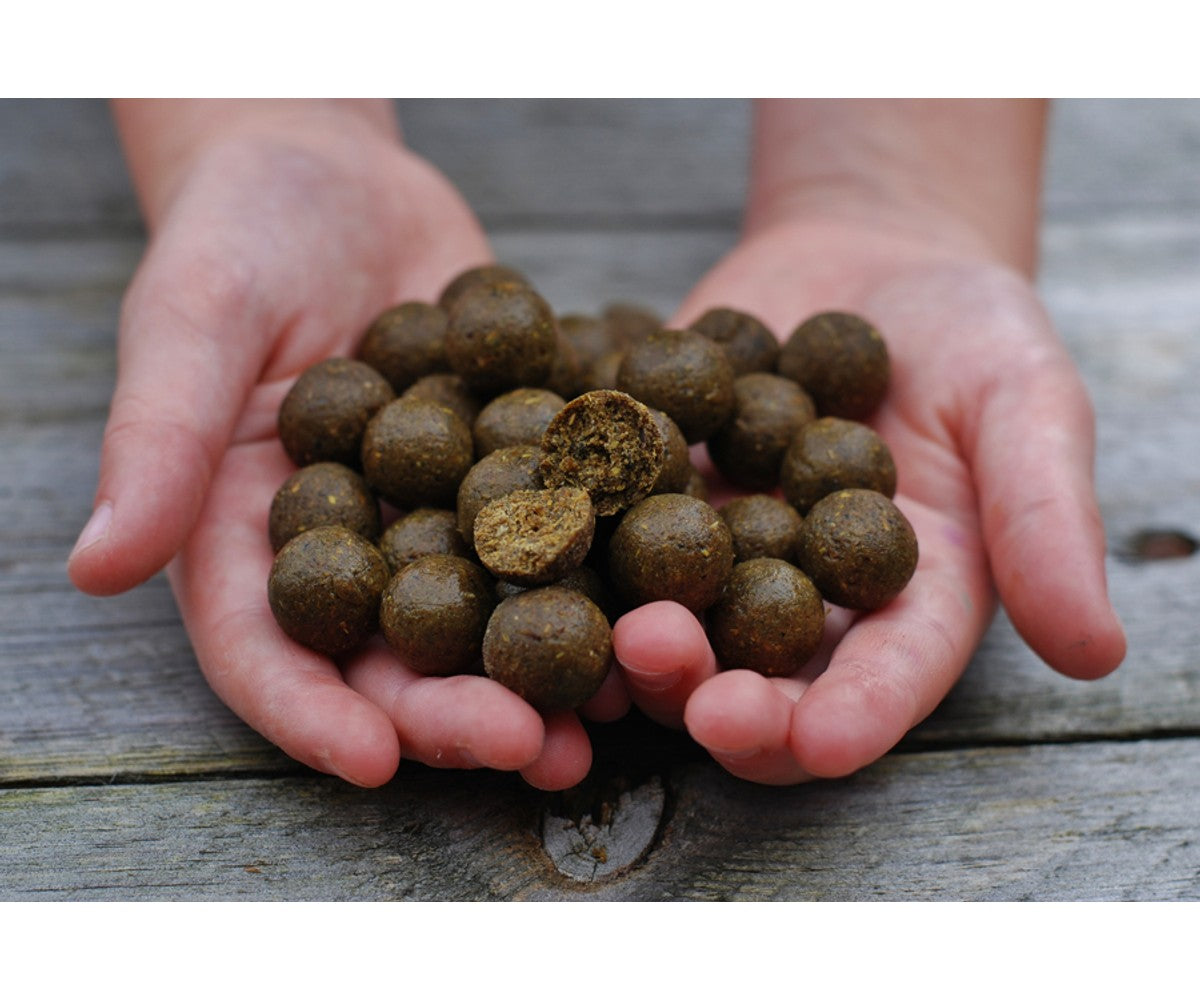 Топчета DB Hot Fish & GLM boilies