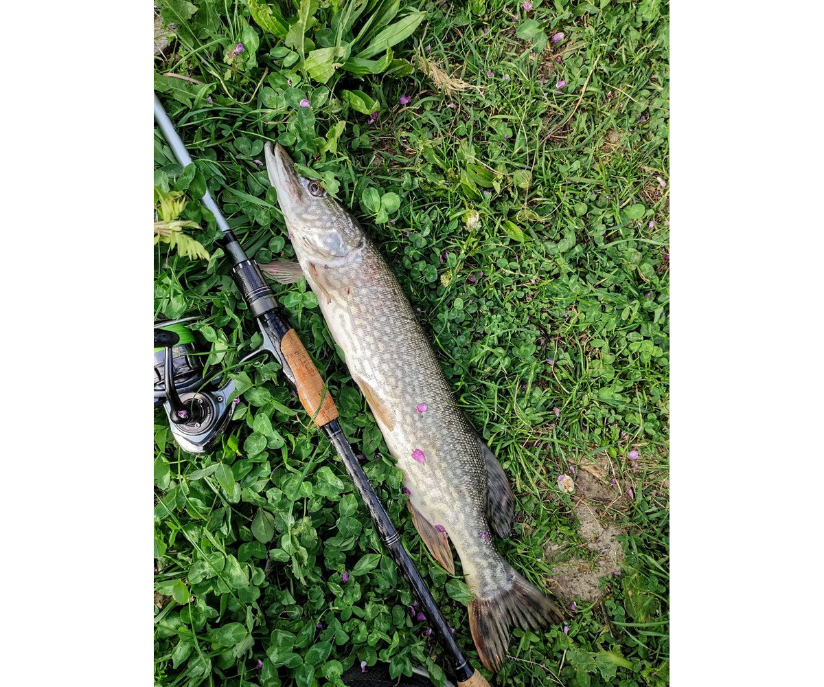 Въдица Filstar Silver Shadow EVO