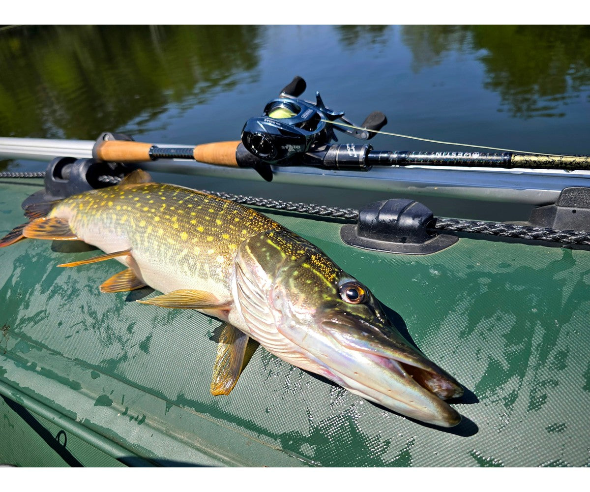 Бейткастинг макара Filstar Sting 101L
