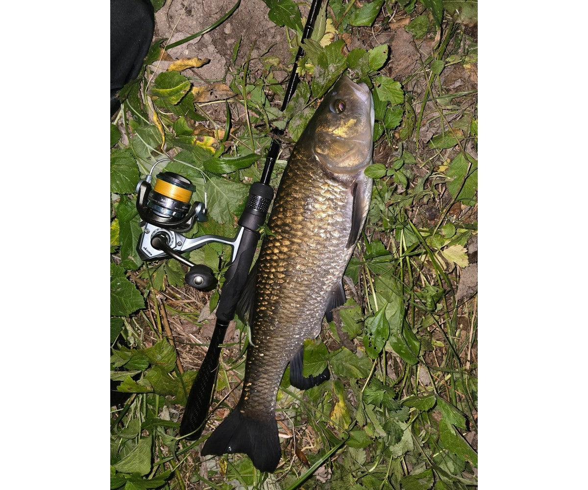 Въдица Filstar 365 Chub