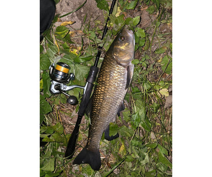 Въдица Filstar 365 Chub