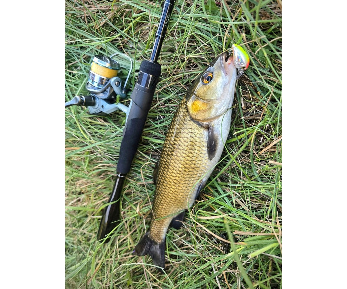 Въдица Filstar 365 Chub