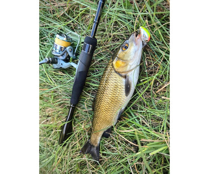 Въдица Filstar 365 Chub