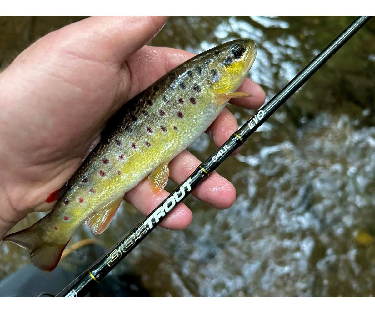 Въдица Filstar 365 Trout Spin Evo