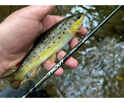 Въдица Filstar 365 Trout Spin Evo