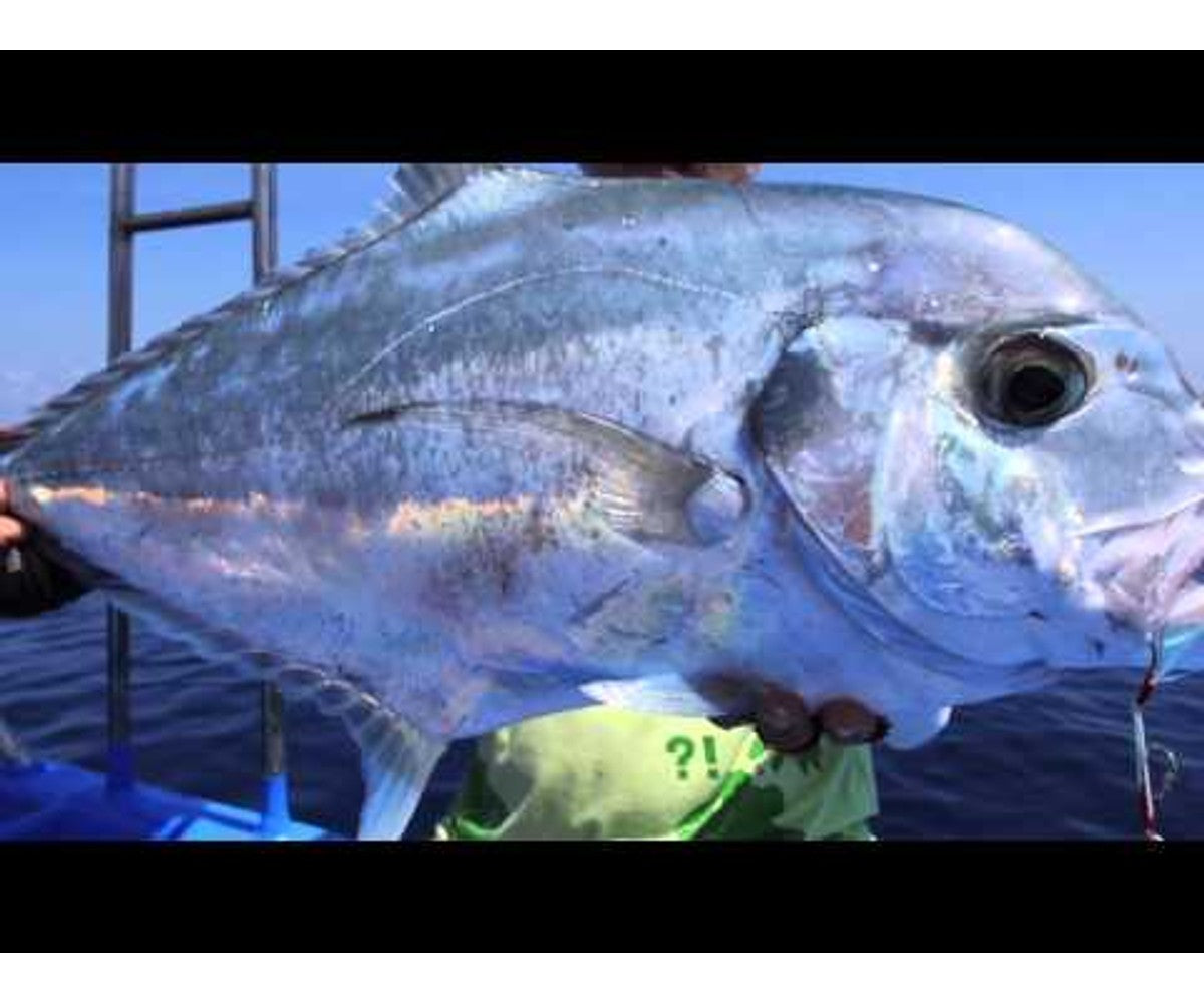 Въдица Gomoku Erito Slow Pitch Casting