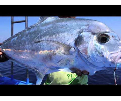 Въдица Gomoku Erito Slow Pitch Casting