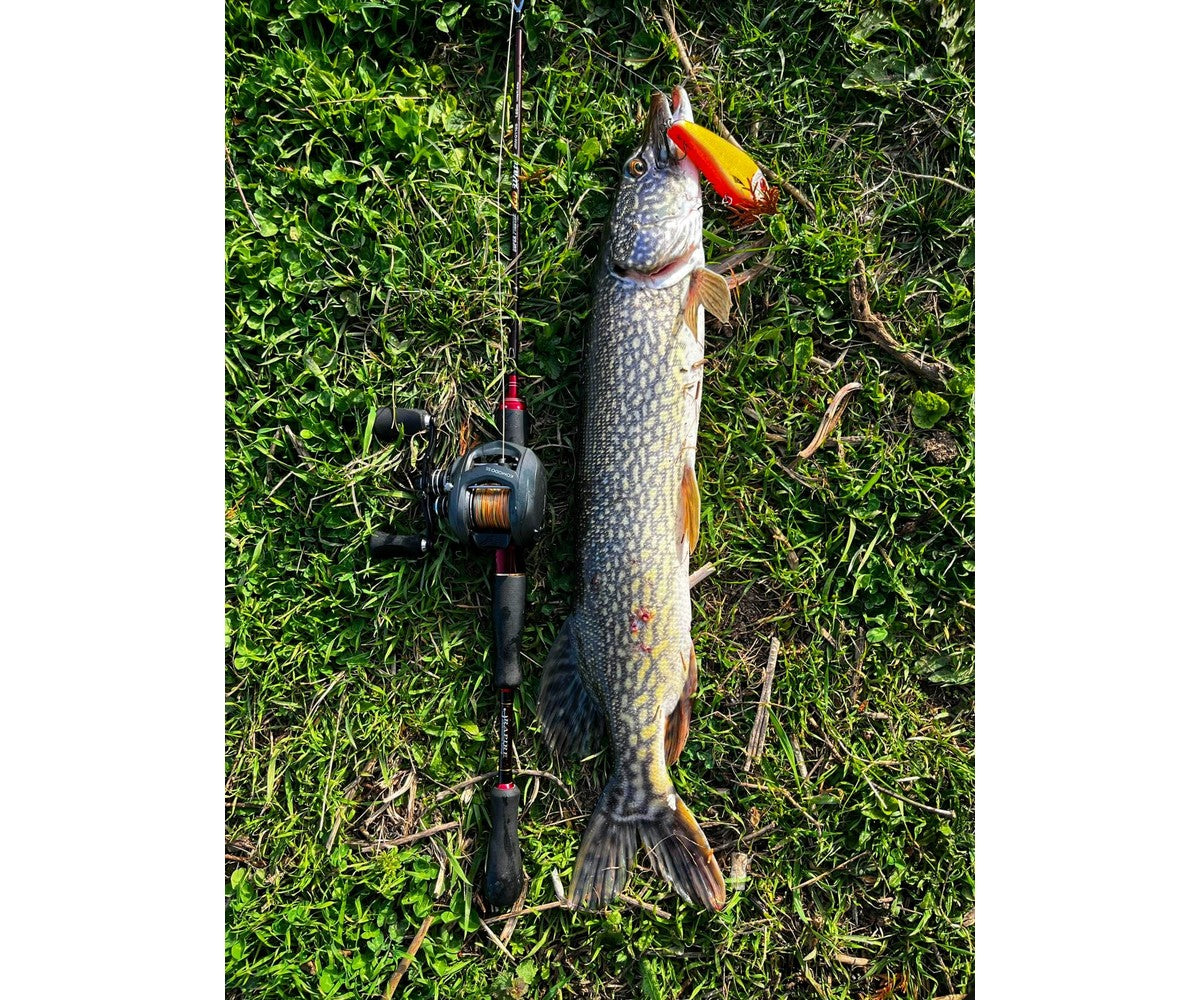 Бейткастинг макара Okuma Komodo SS