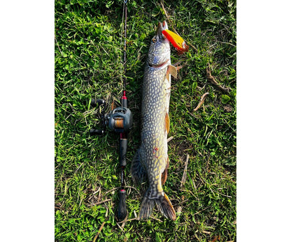 Бейткастинг макара Okuma Komodo SS