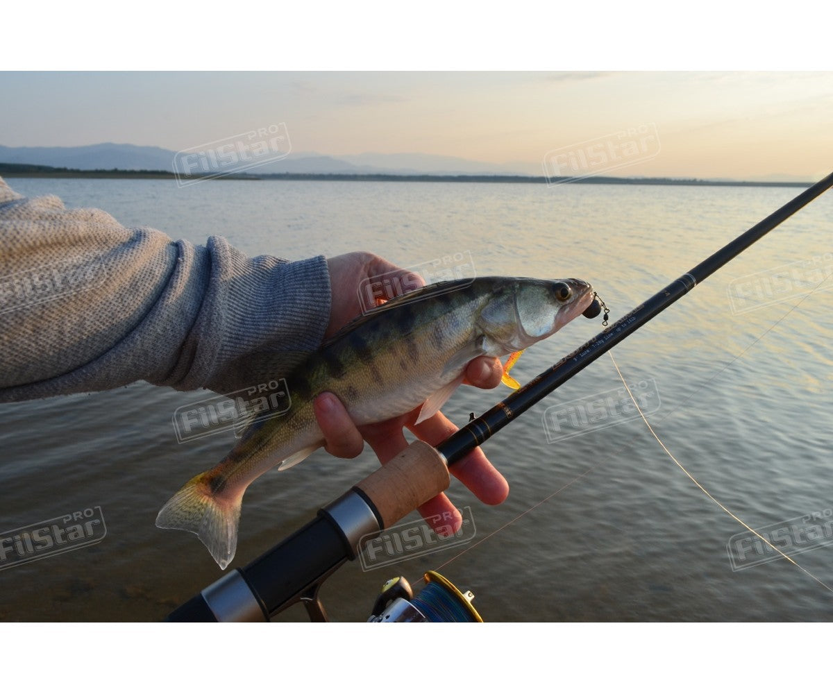 Въдица Filstar Light Game