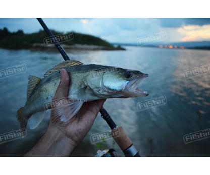 Въдица Filstar Light Game