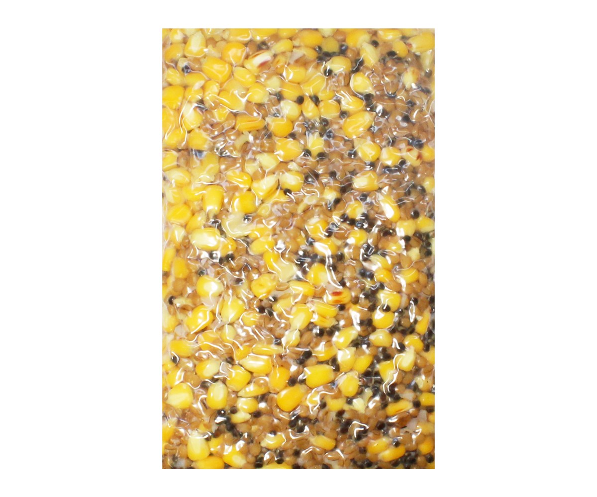 Готови семена FilStar Mix Active