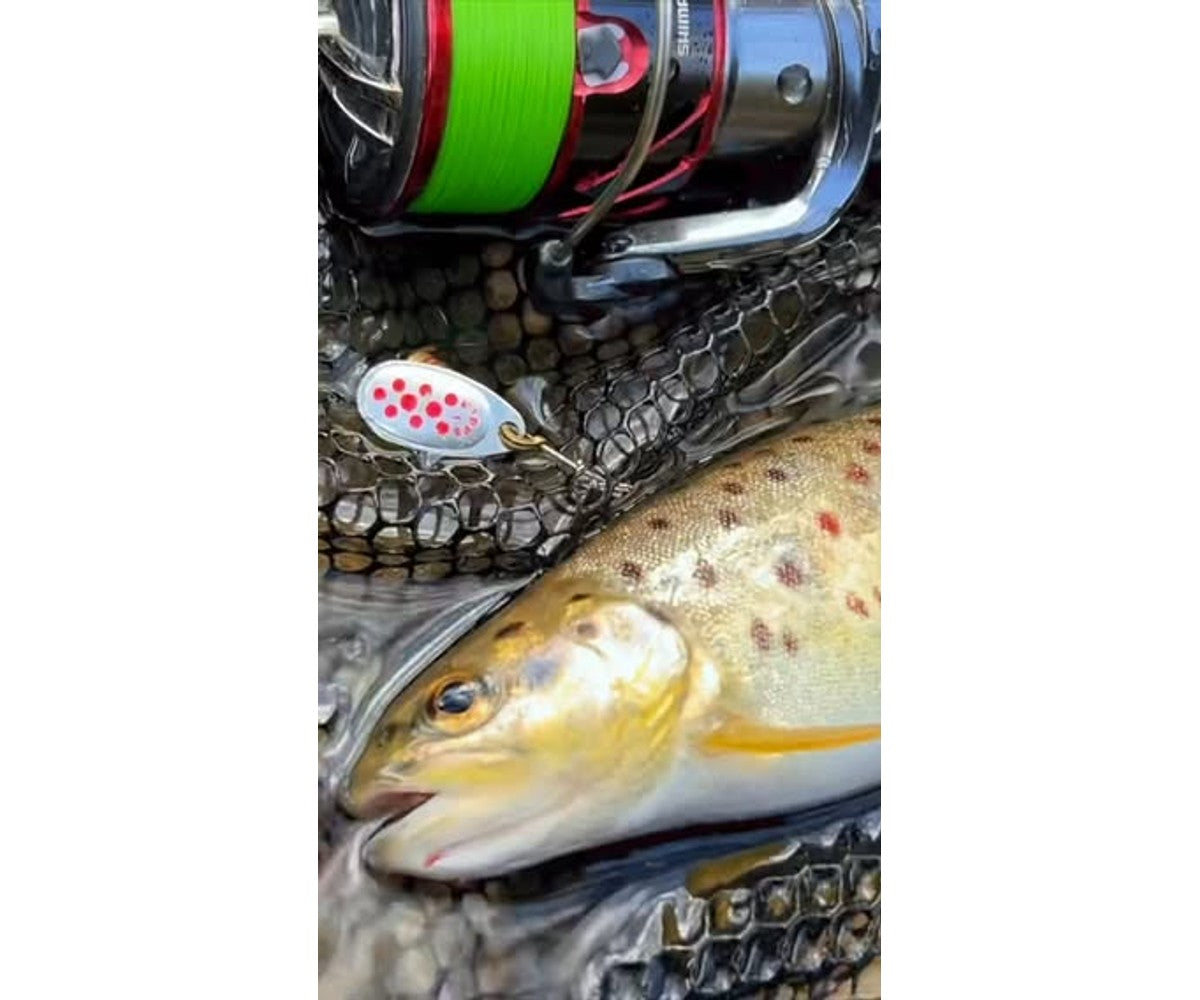 Въдица Filstar 365 Trout Spin Evo