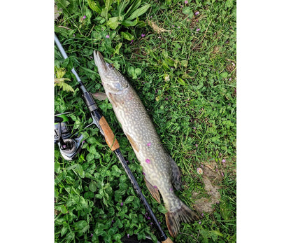 Въдица Filstar Silver Shadow EVO