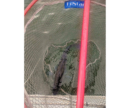 Кеп FilStar Square Net