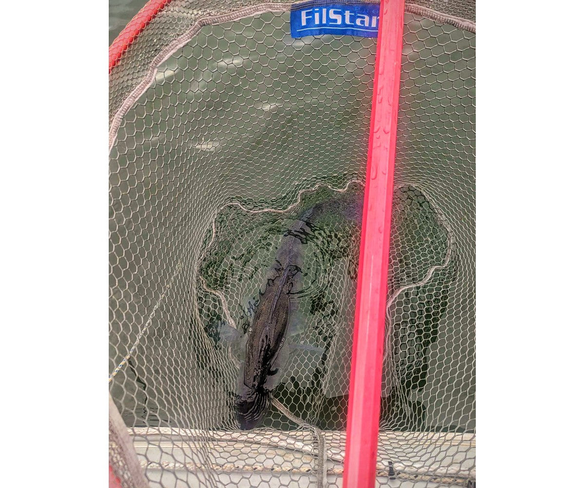 Кеп FilStar Square Net