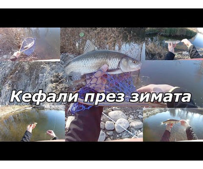 Въдица Filstar Speranza Spin